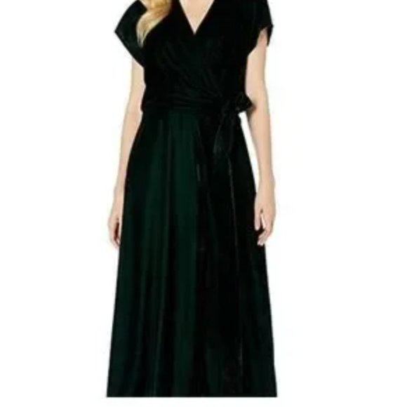 Ralph Lauren Velvet Dress NWT size 2 - Picture 6 of 10